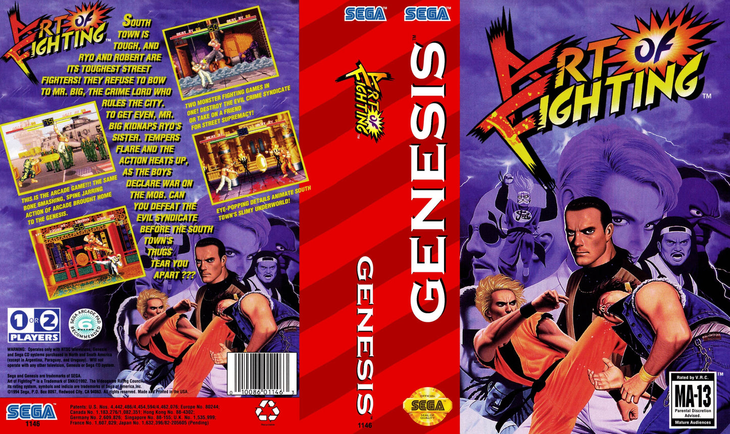 Art of Fighting Cover Art - WOI Solutions