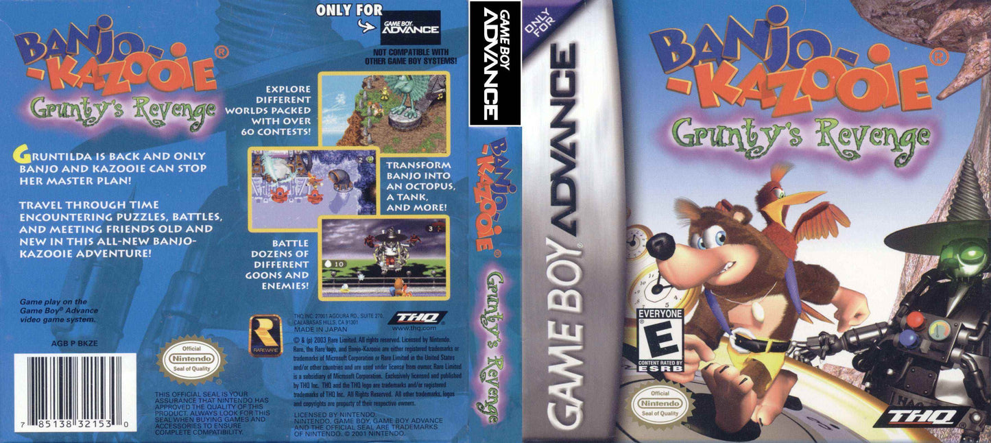 Banjo Kazooie Grunty's Revenge Cover Art - WOI Solutions