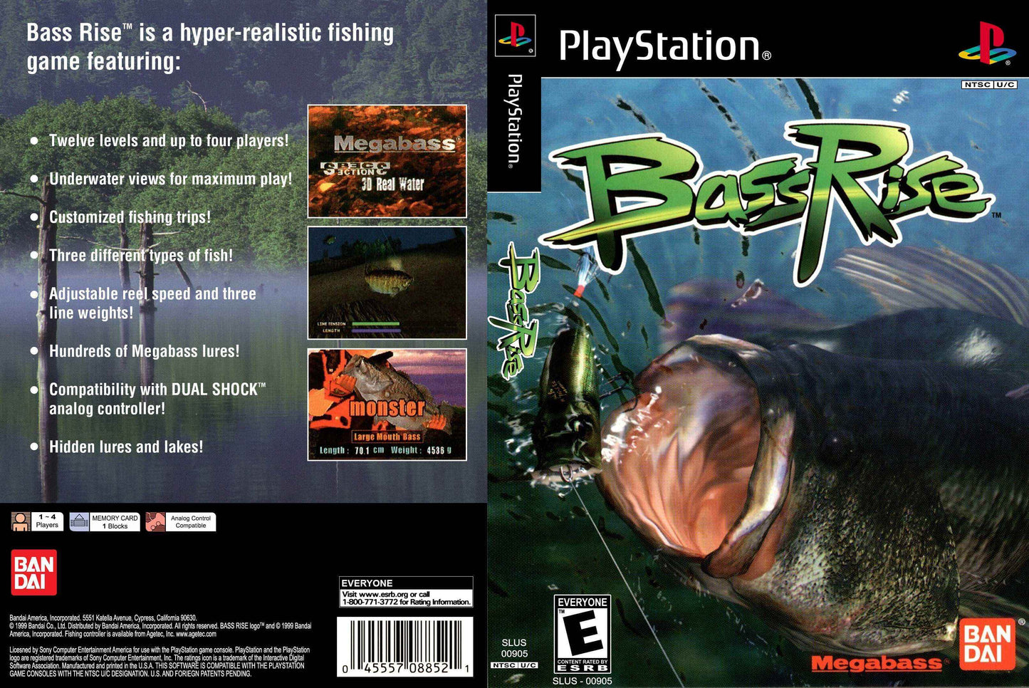 Bass Rise Cover Art - WOI Solutions