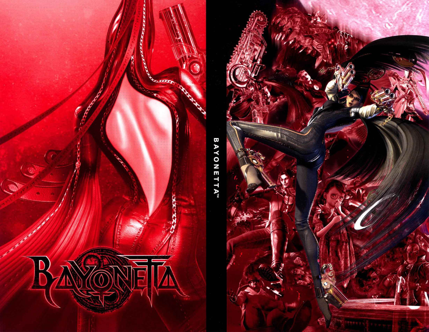 Bayonetta Cover Art - WOI Solutions
