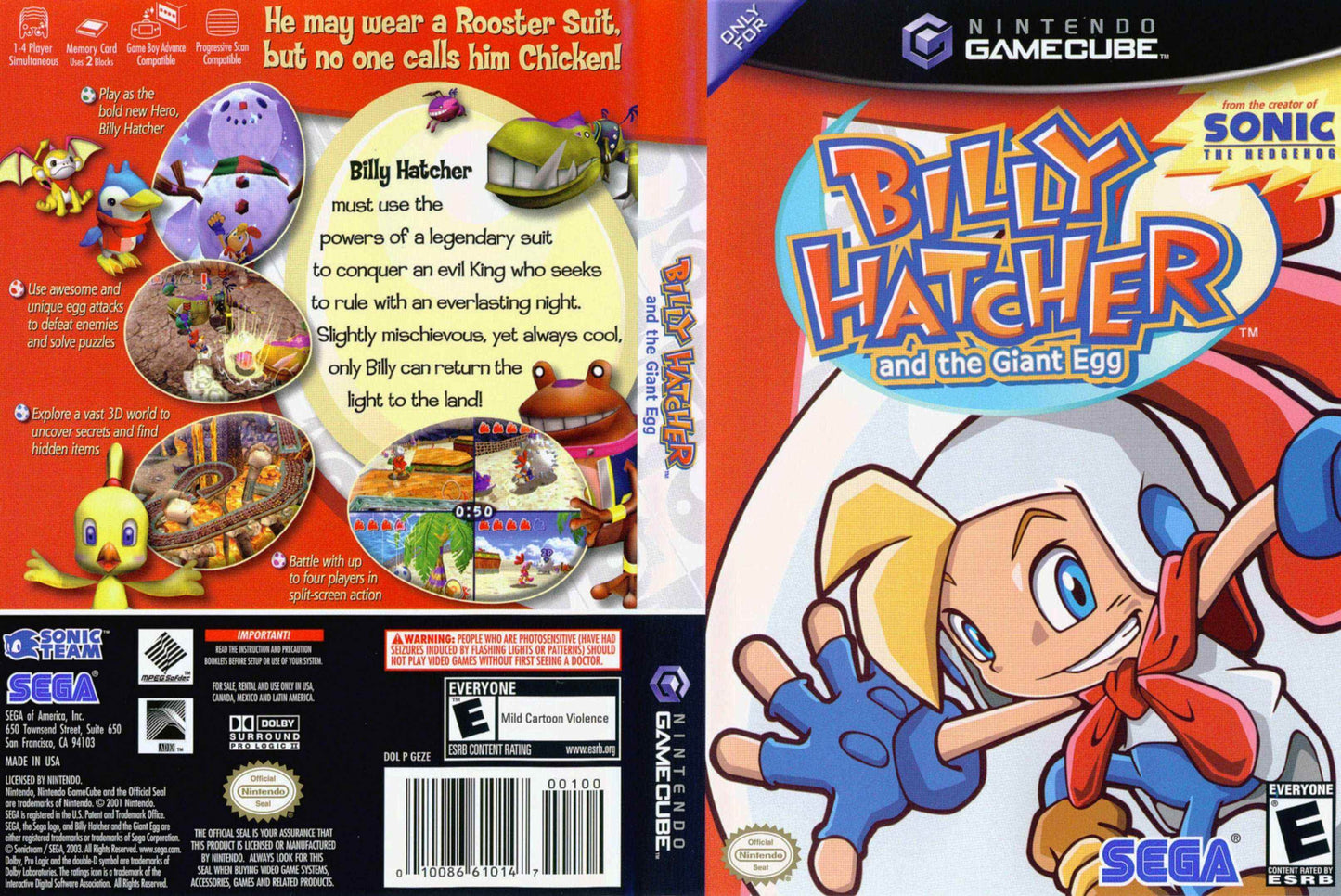 Billy Hatcher and the Giant Egg Cover Art - WOI Solutions