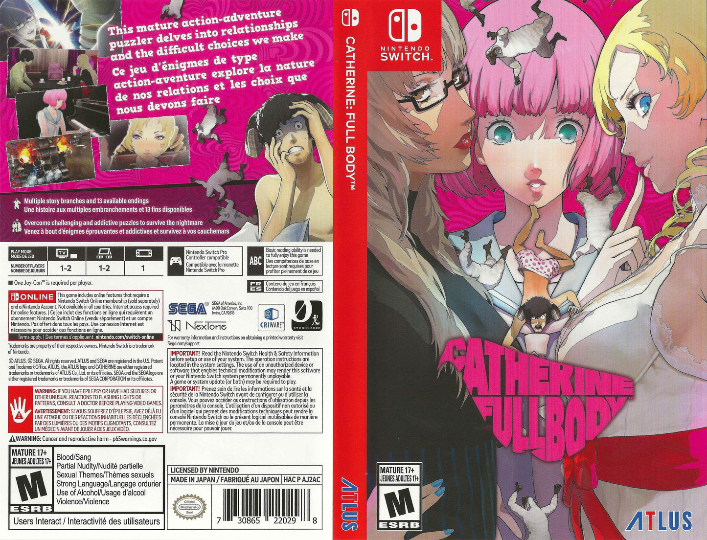 Catherine Full Body Cover Art - WOI Solutions
