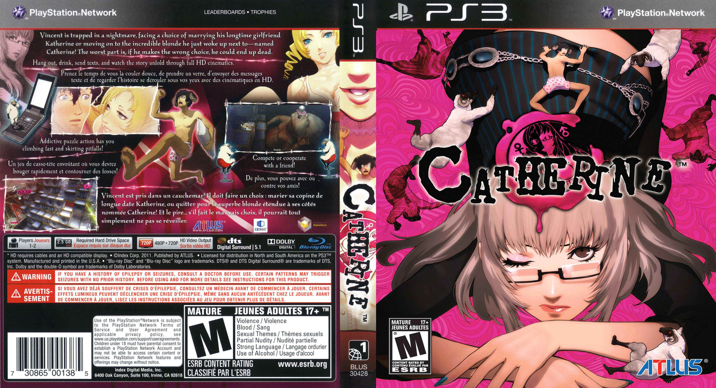 Catherine Cover Art - WOI Solutions