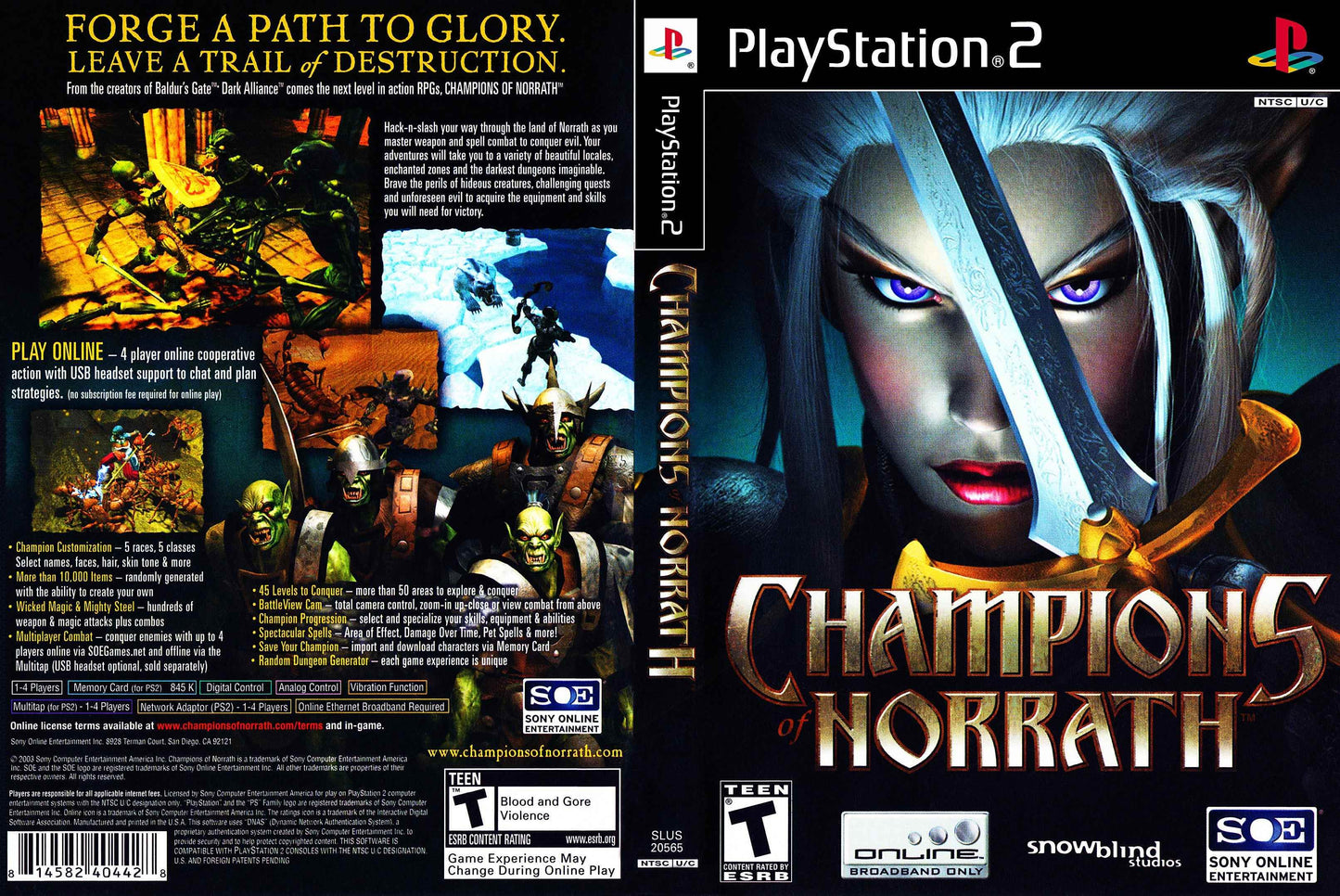 Champions Of Norrath Cover Art - WOI Solutions