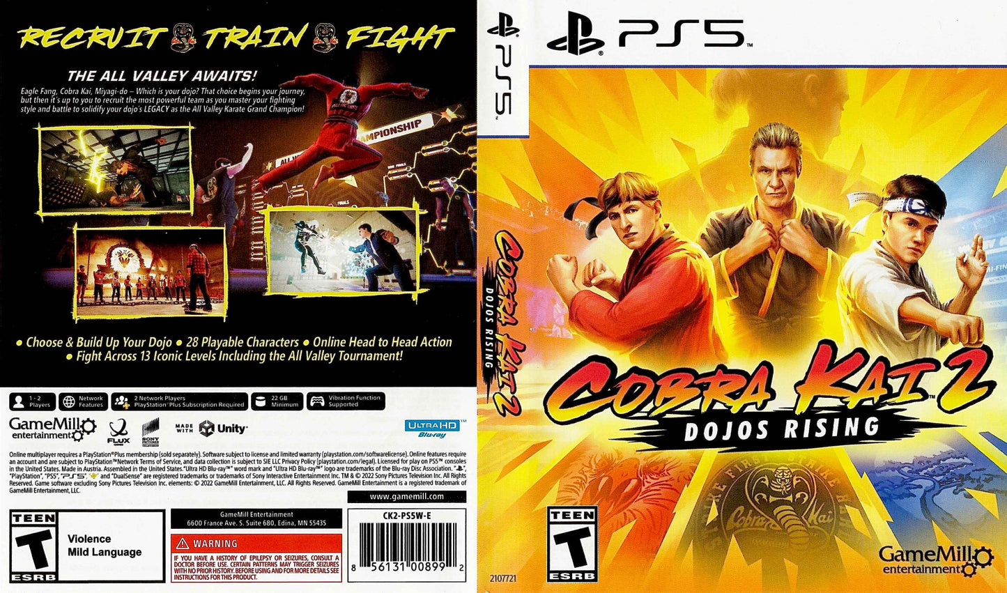 Cobra Kai 2 Dojos Rising Cover Art - WOI Solutions