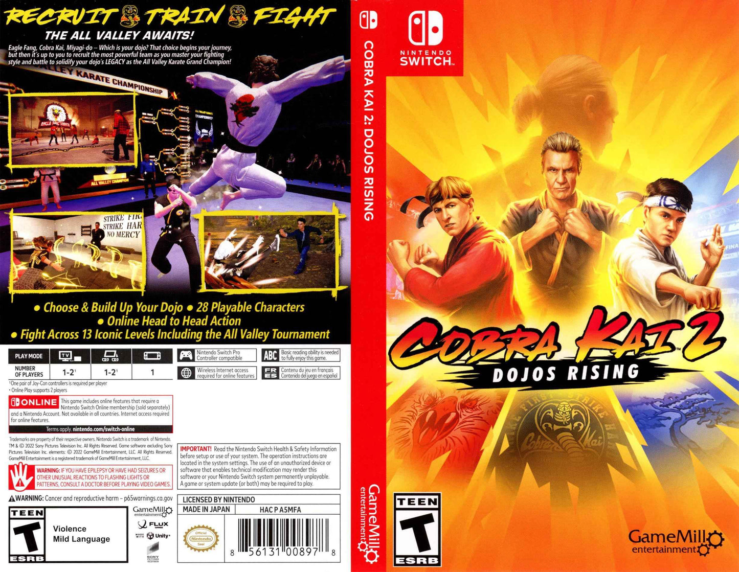 Cobra Kai 2 Dojos Rising Cover Art - WOI Solutions