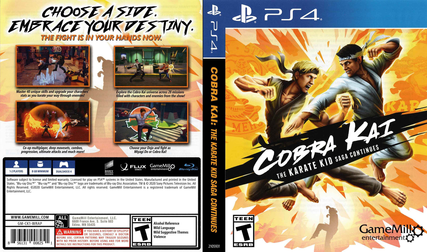 Cobra Kai The Karate Kid Saga Continues Cover Art - WOI Solutions