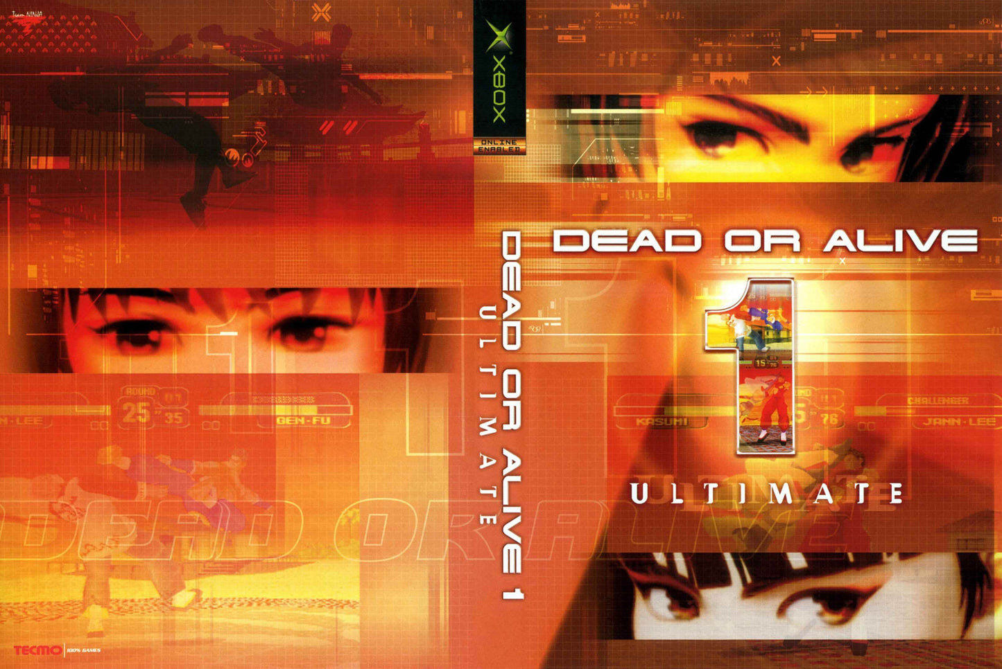 Dead Or Alive 1 Ultimate Cover Art - WOI Solutions