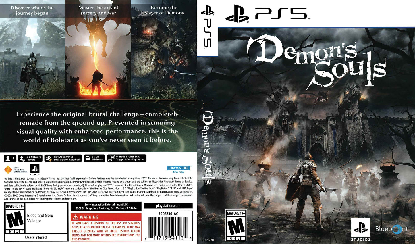Demons Souls Cover Art - WOI Solutions