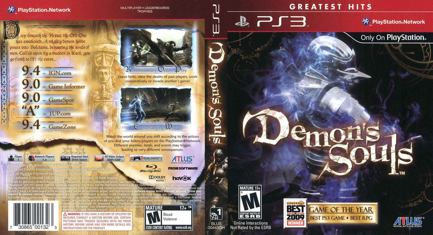 Demon's Souls Cover Art - WOI Solutions
