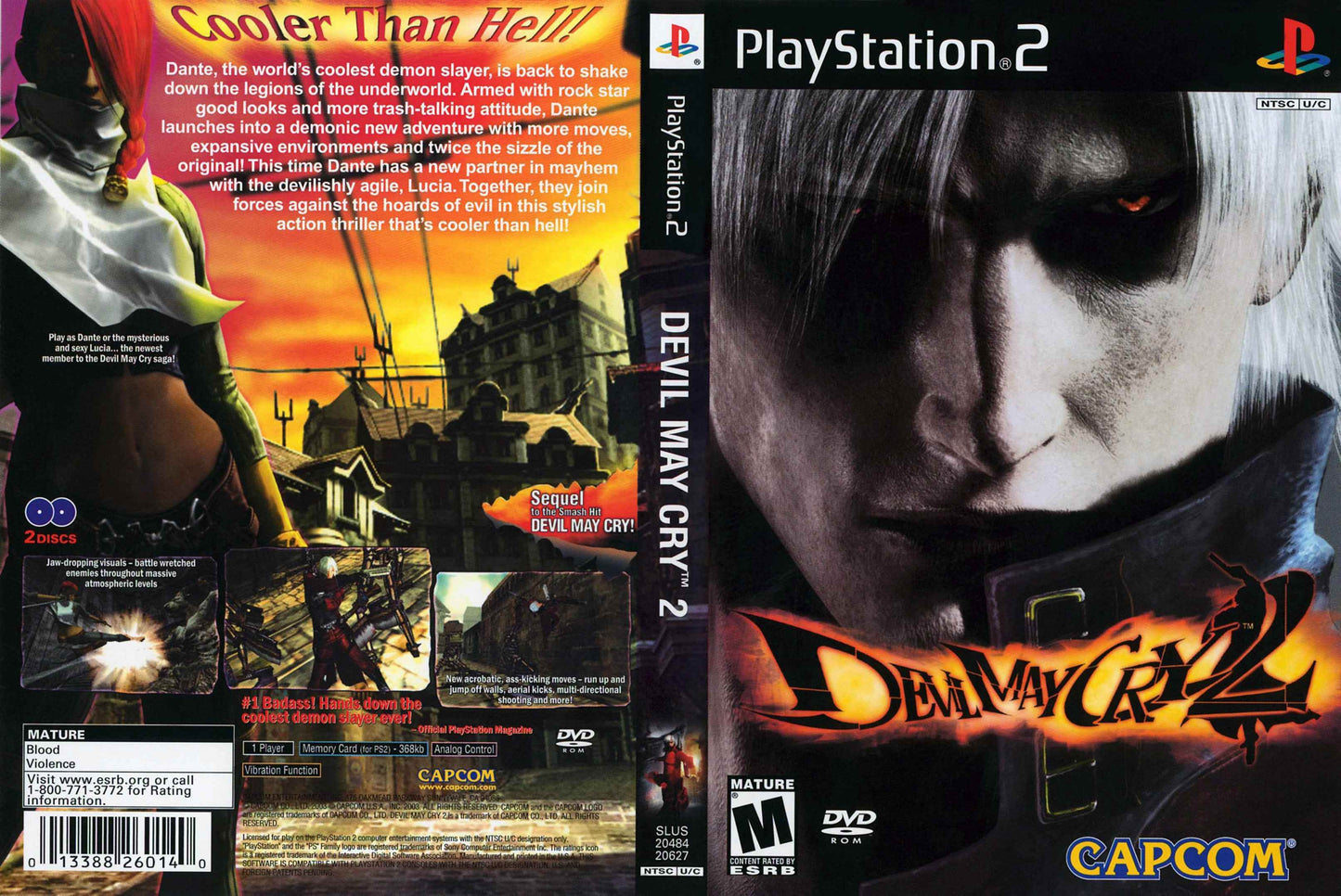 Devil May Cry 2 Cover Art - WOI Solutions