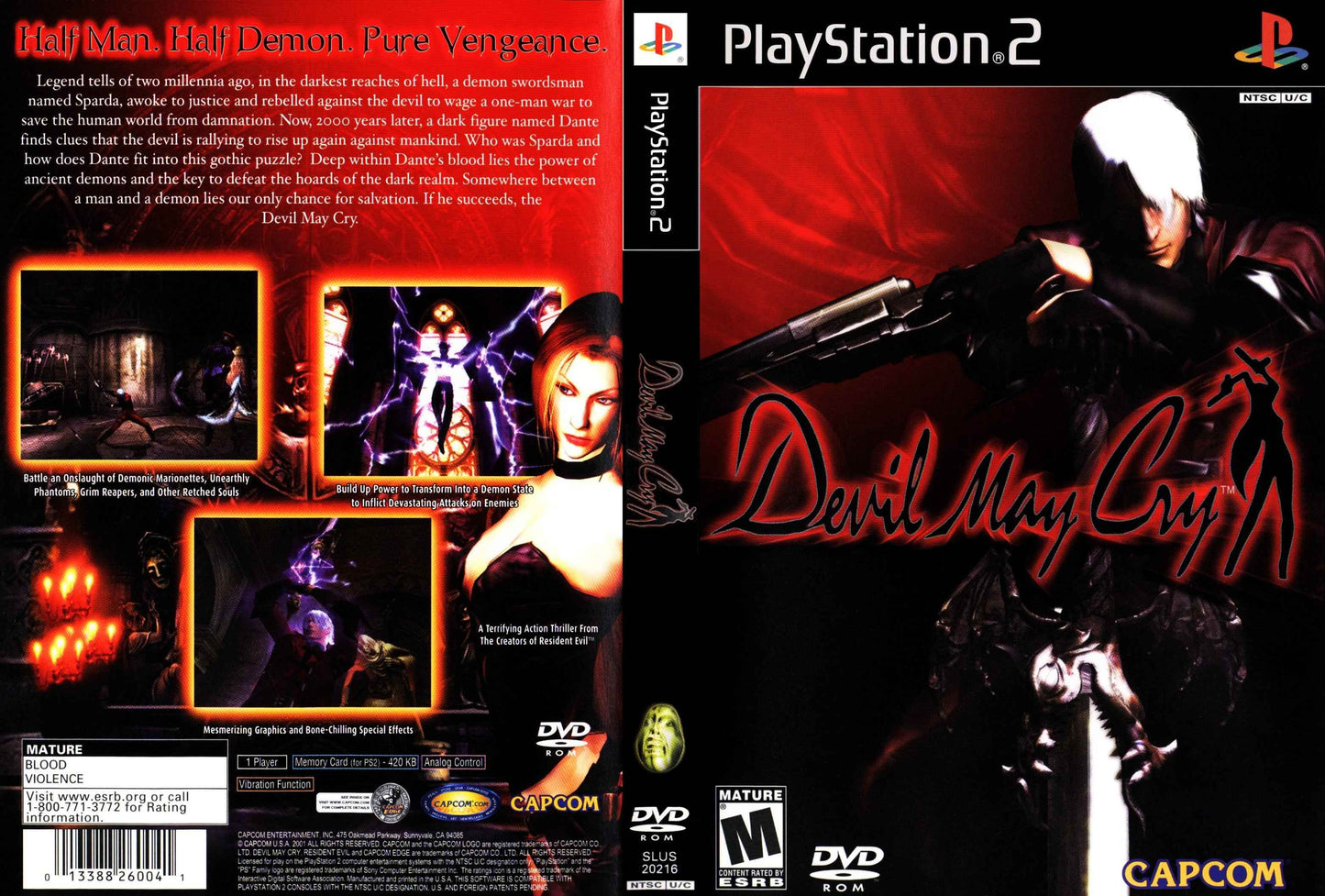 Devil May Cry Cover Art - WOI Solutions