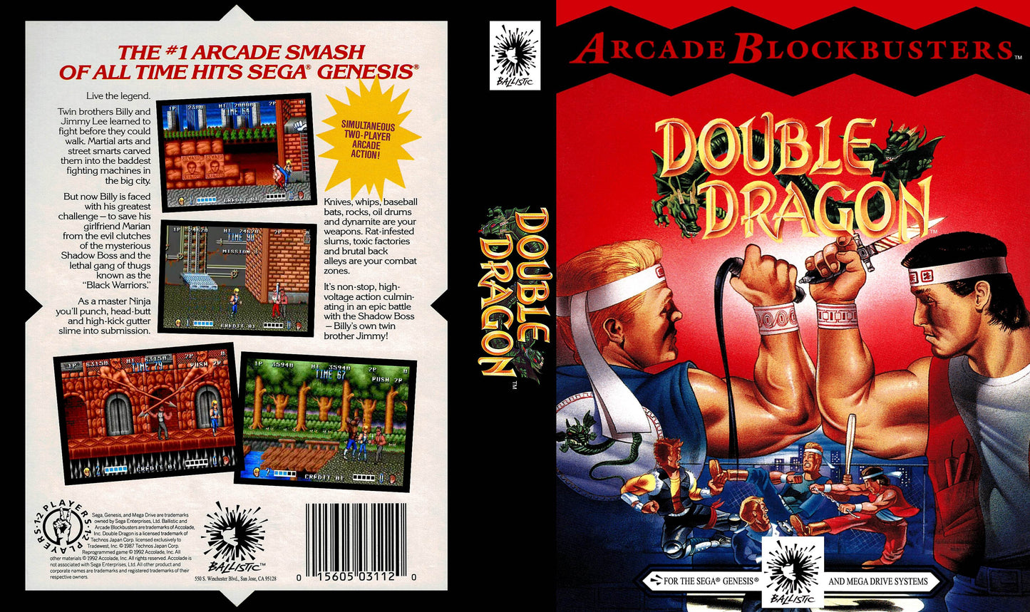 Double Dragon Cover Art - WOI Solutions