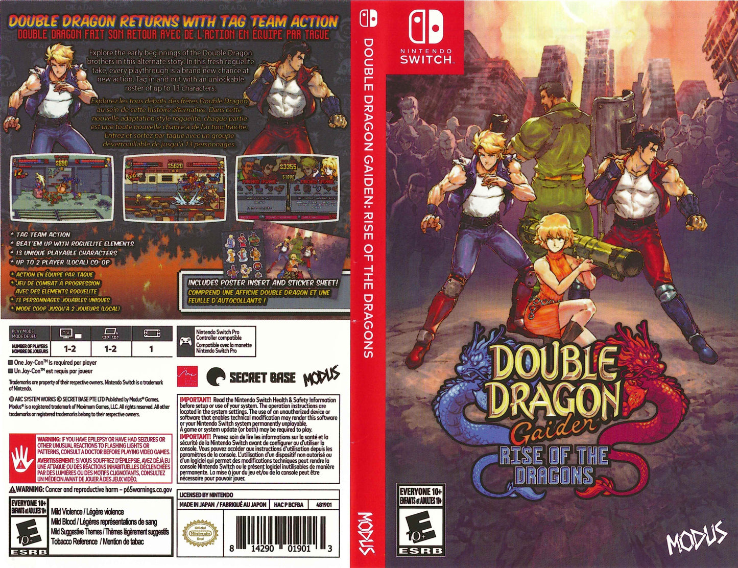 Double Dragon Gaiden Rise of the Dragons Cover Art - WOI Solutions