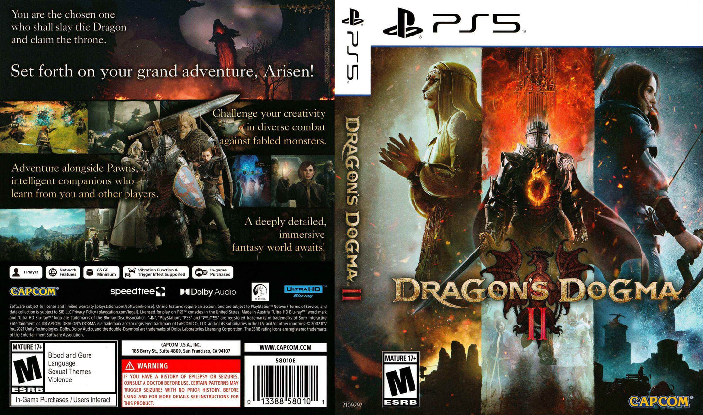 Dragon's Dogma 2 Cover Art - WOI Solutions