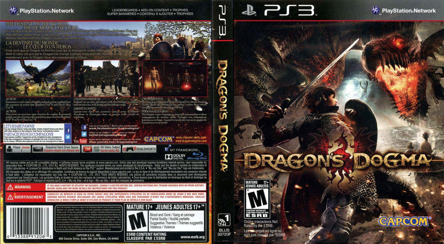 Dragon's Dogma Cover Art - WOI Solutions