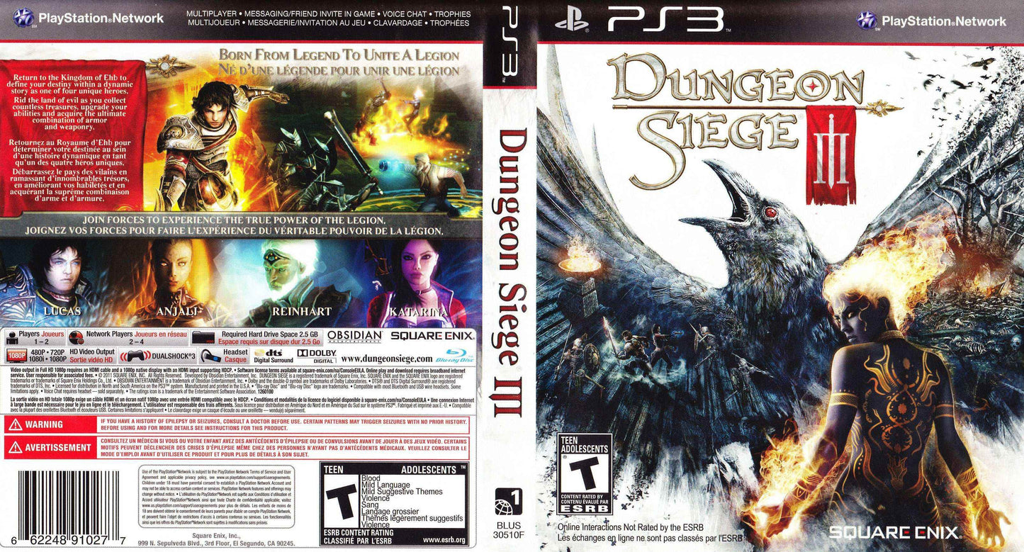 Dungeon Siege III Cover Art - WOI Solutions