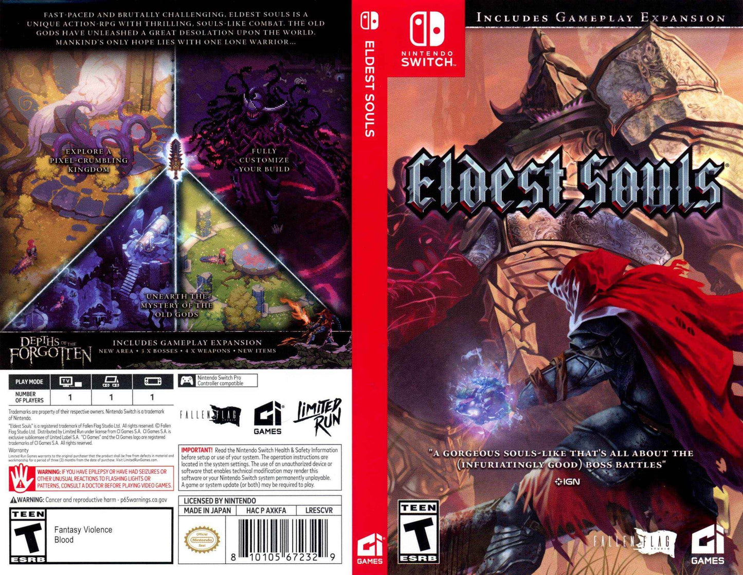 Eldest Souls Cover Art - WOI Solutions