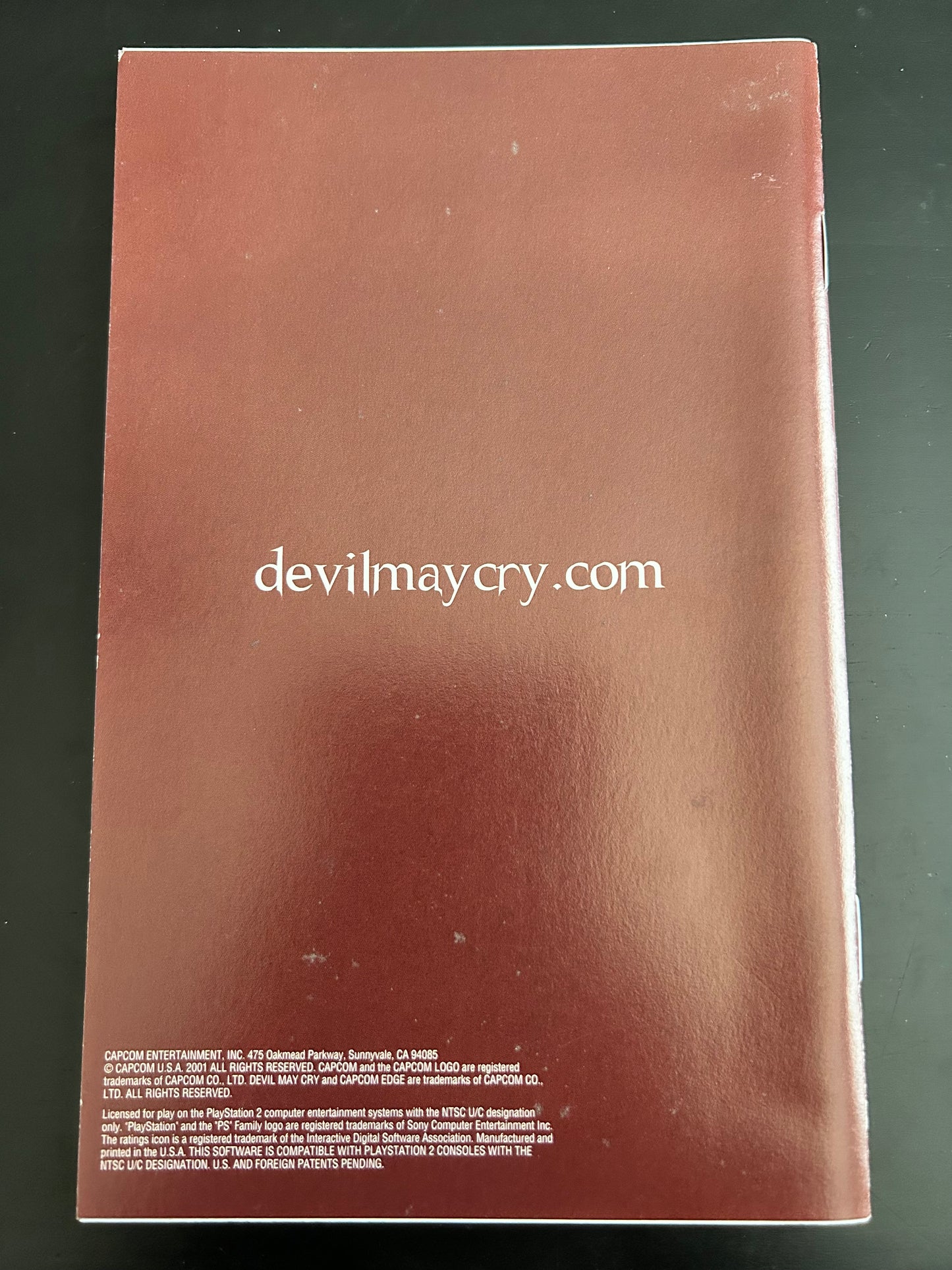Devil May Cry for PS2 Manual Only Cover Art - WOI Solutions