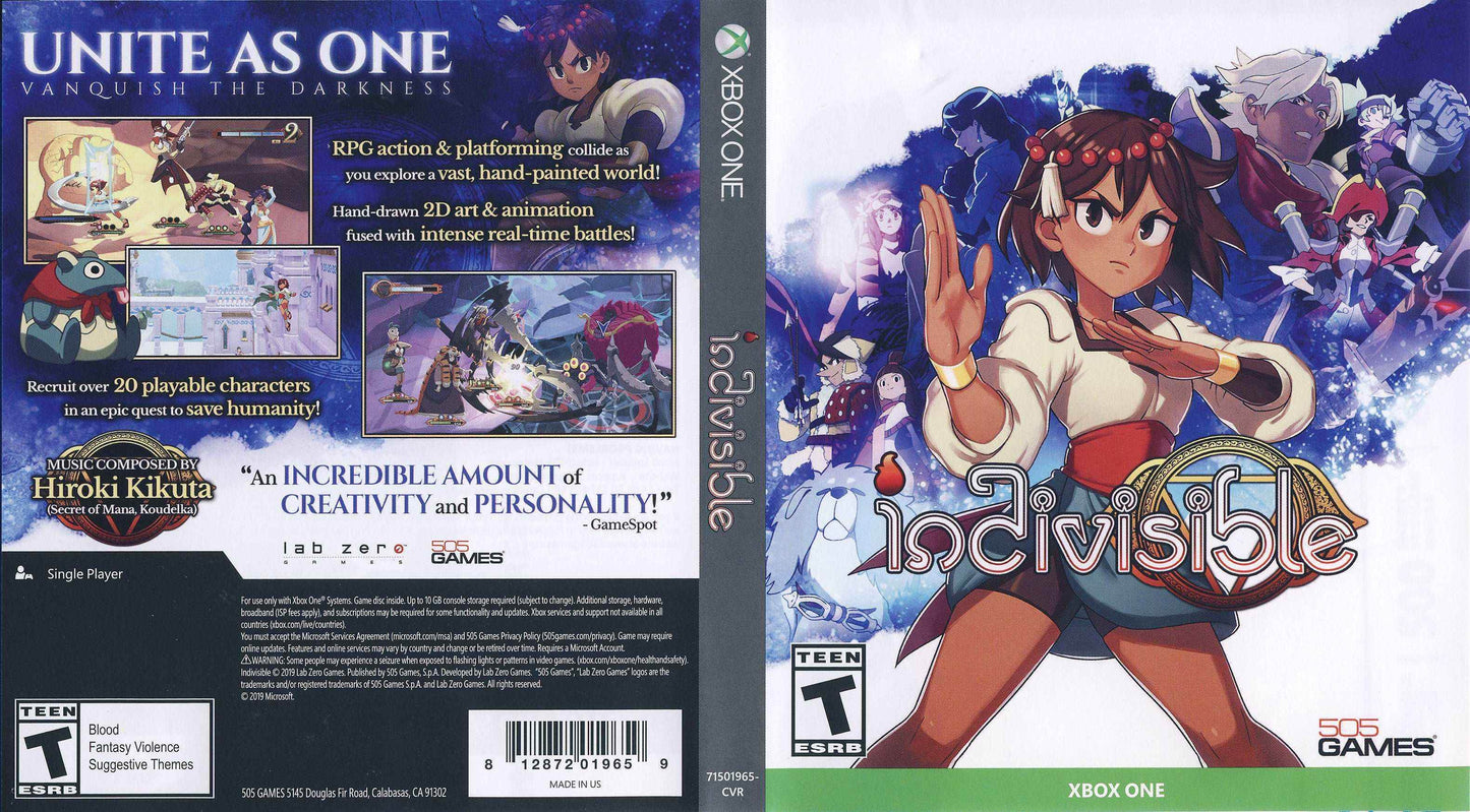 Indivisible Cover Art - WOI Solutions