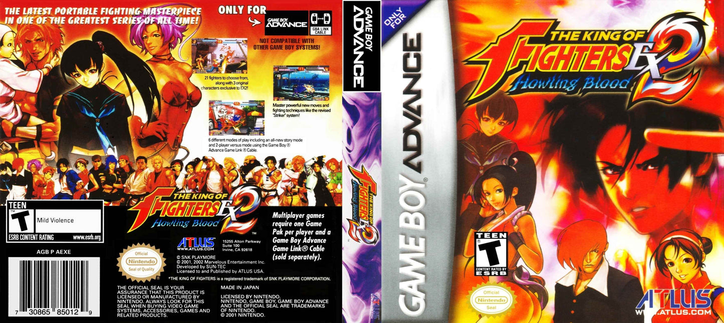 King of Fighters EX2 Howling Blood Cover Art - WOI Solutions