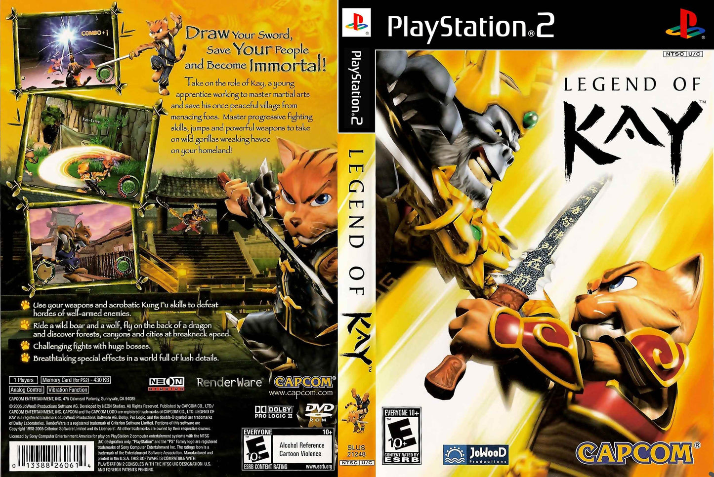 Legend of Kay Cover Art - WOI Solutions
