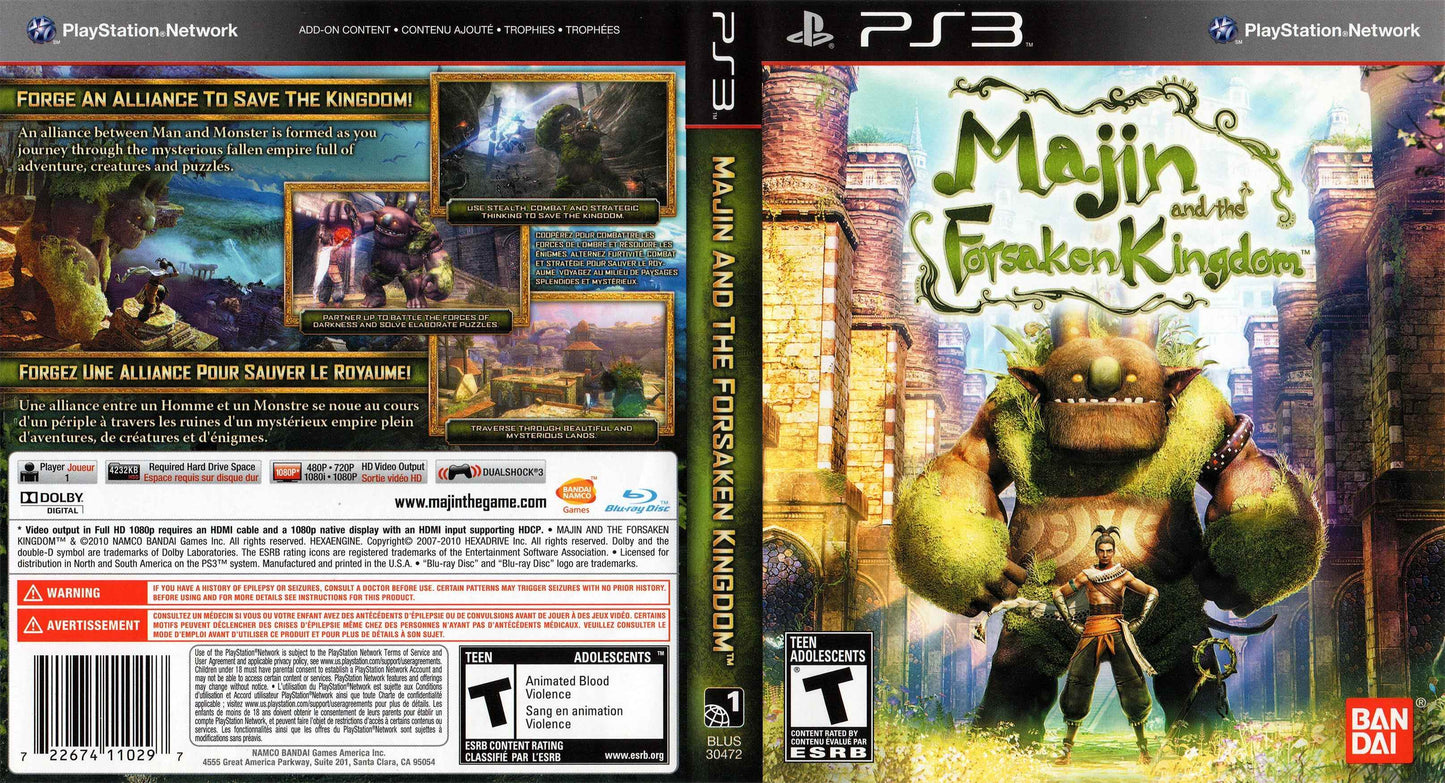 Majin and the Forsaken Kingdom Cover Art - WOI Solutions