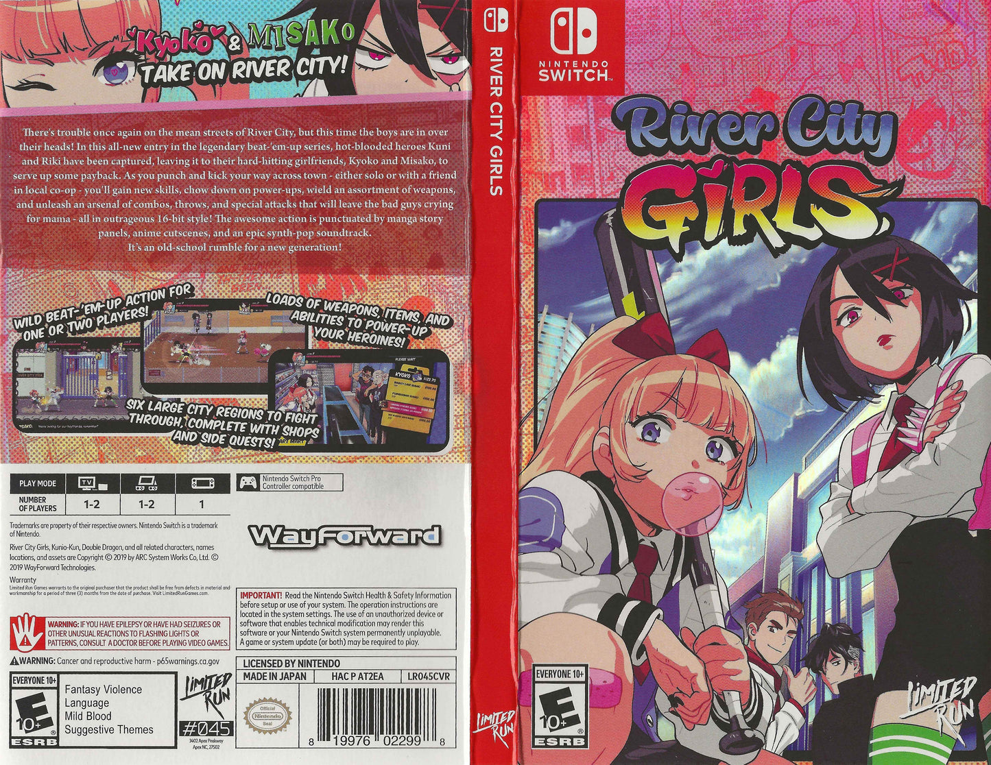 River City Girls Cover Art - WOI Solutions