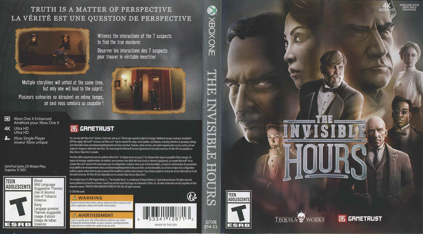 The Invisible Hours Cover Art - WOI Solutions