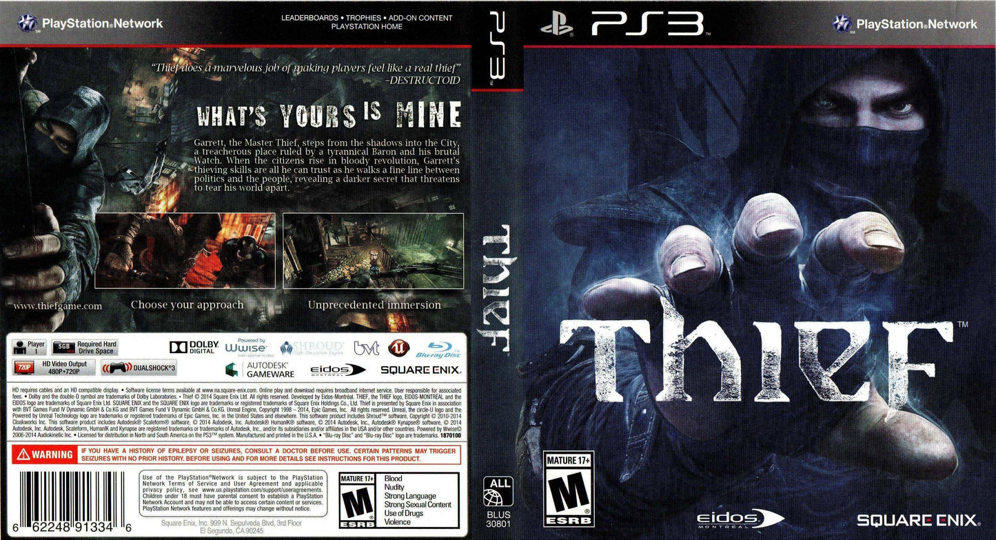Thief Cover Art - WOI Solutions