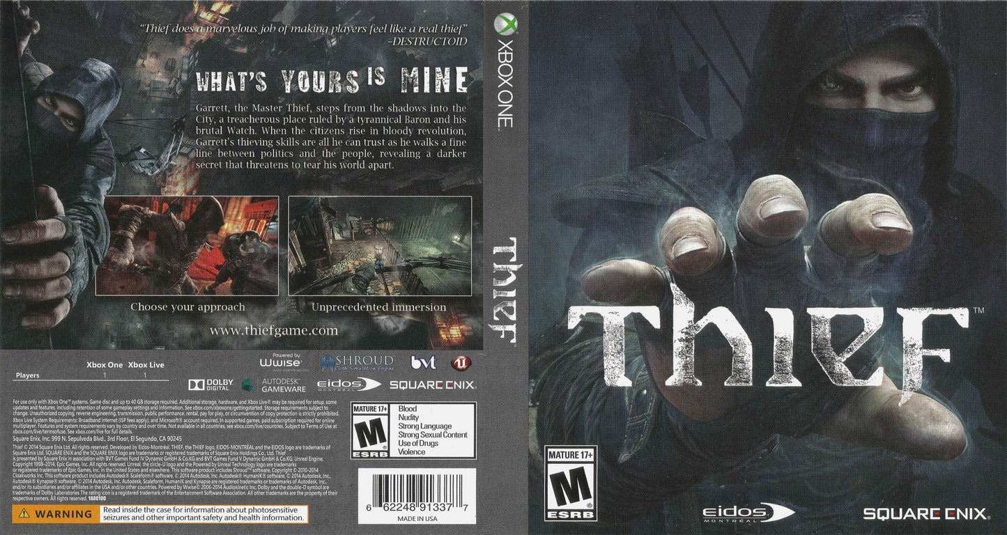 Thief Cover Art - WOI Solutions