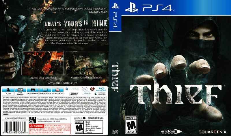 Thief Cover Art - WOI Solutions