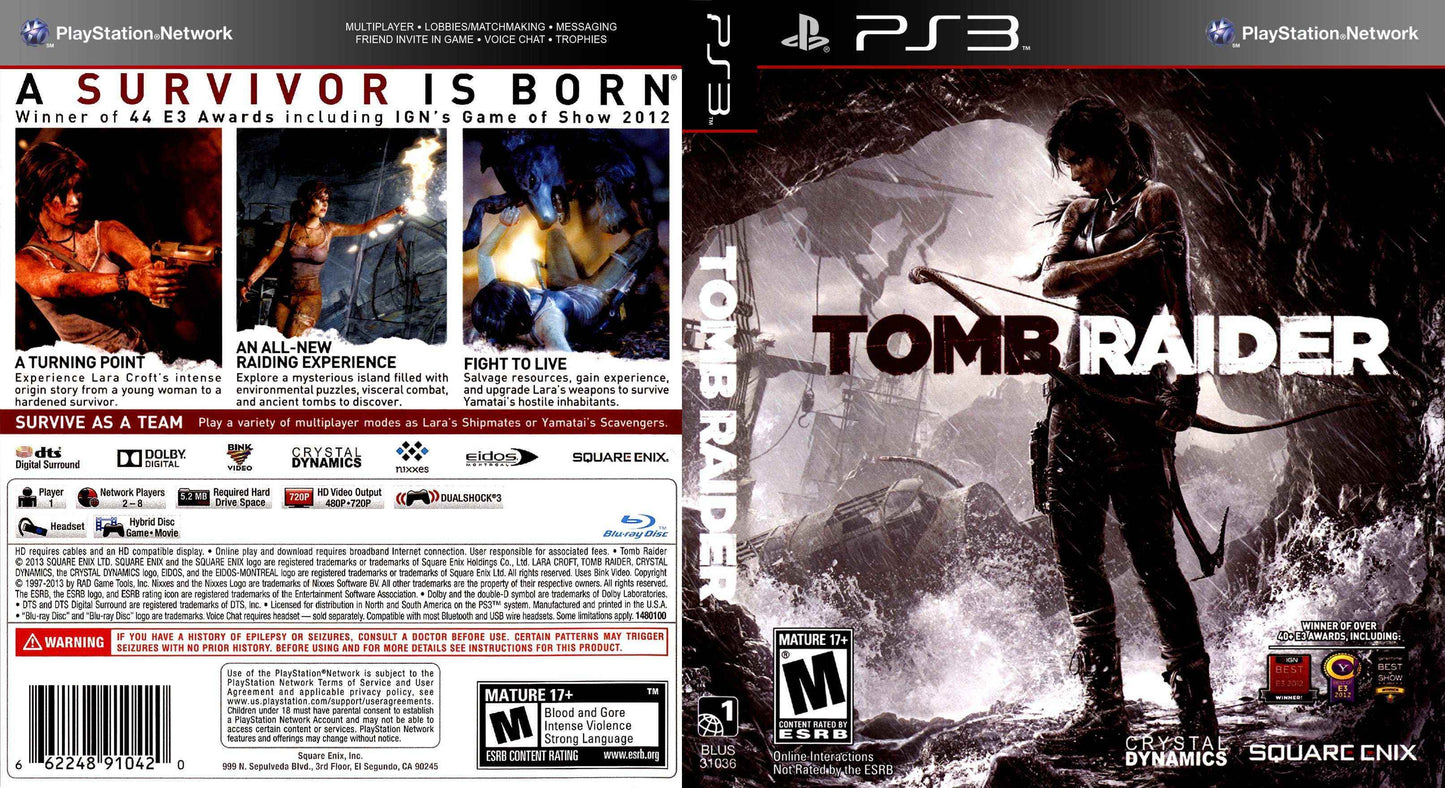 Tomb Raider Cover Art - WOI Solutions