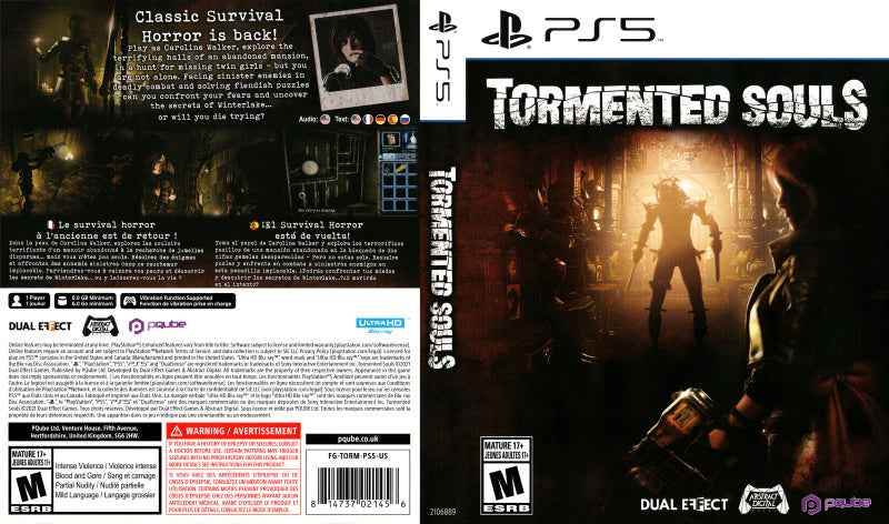Tormented Souls Cover Art - WOI Solutions