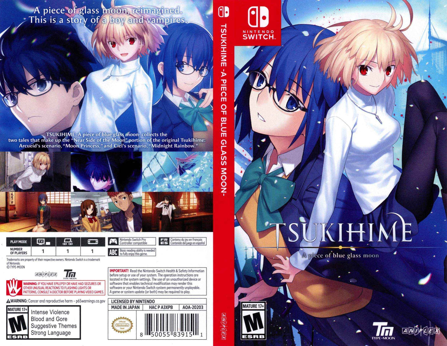Tsukihime - A Piece of Blue Glass Moon Cover Art - WOI Solutions