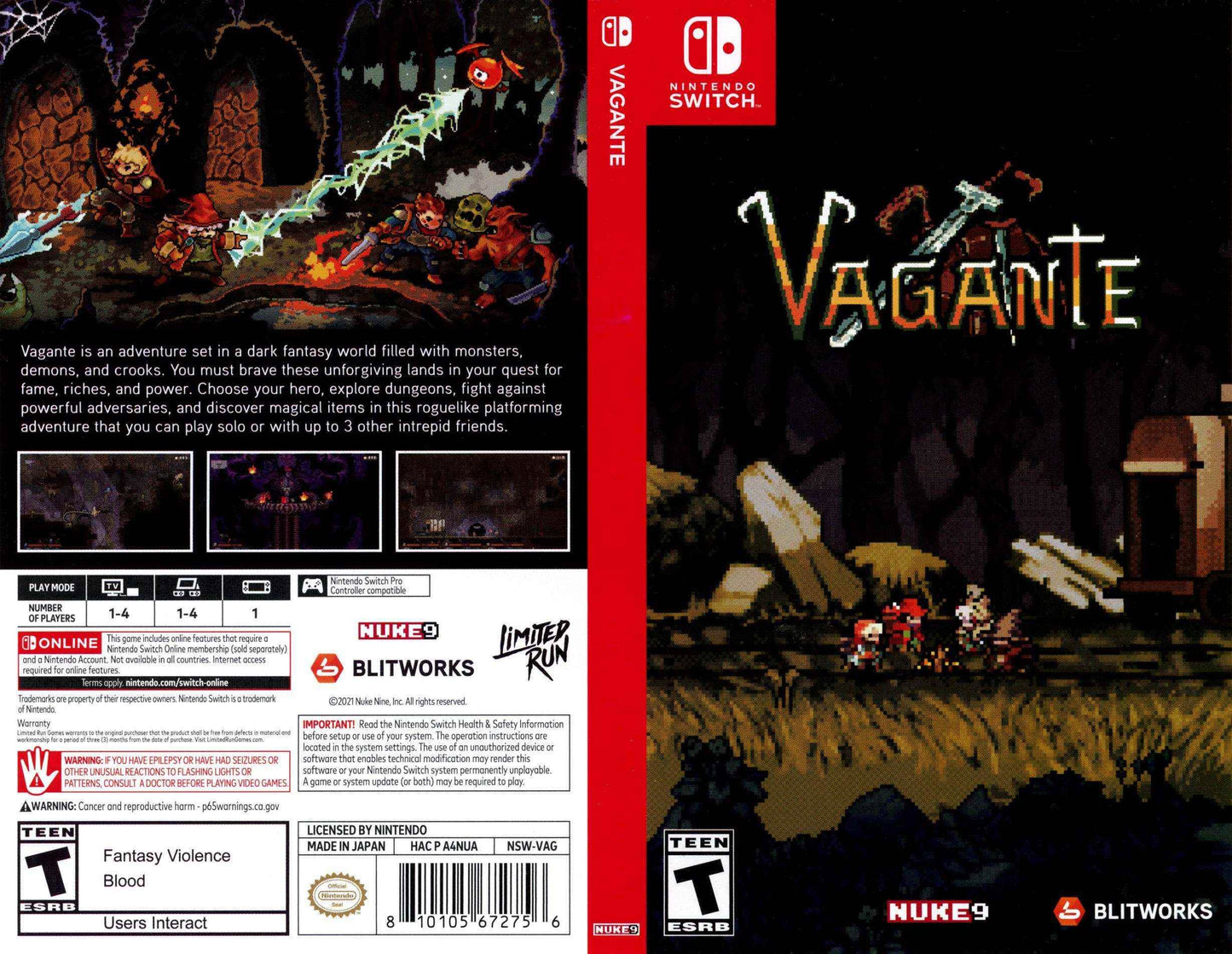 Vagante Cover Art - WOI Solutions