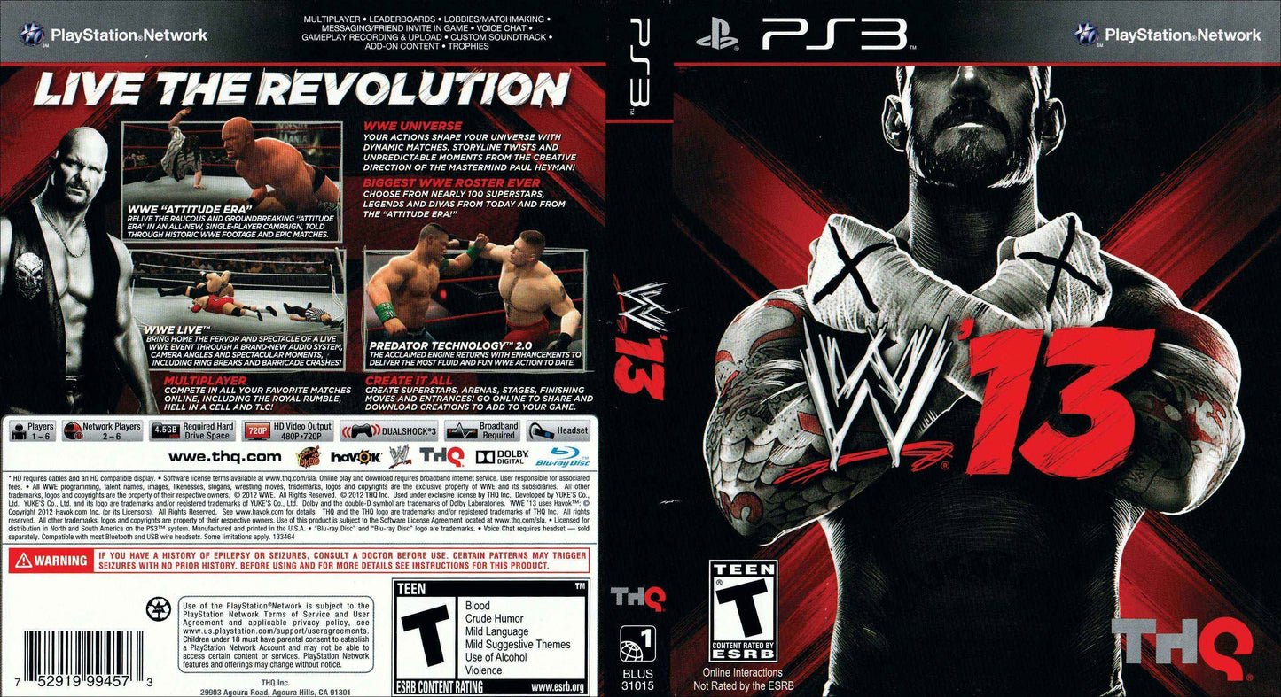 WWE 13 Cover Art - WOI Solutions