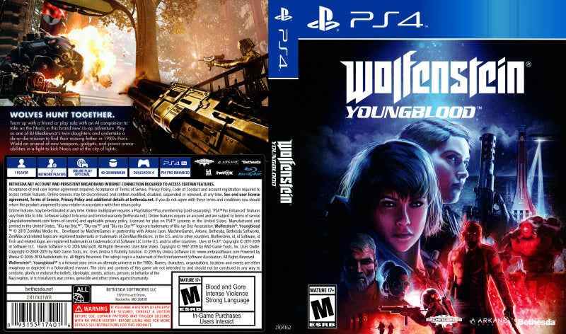 Wolfenstein - Youngblood Cover Art - WOI Solutions