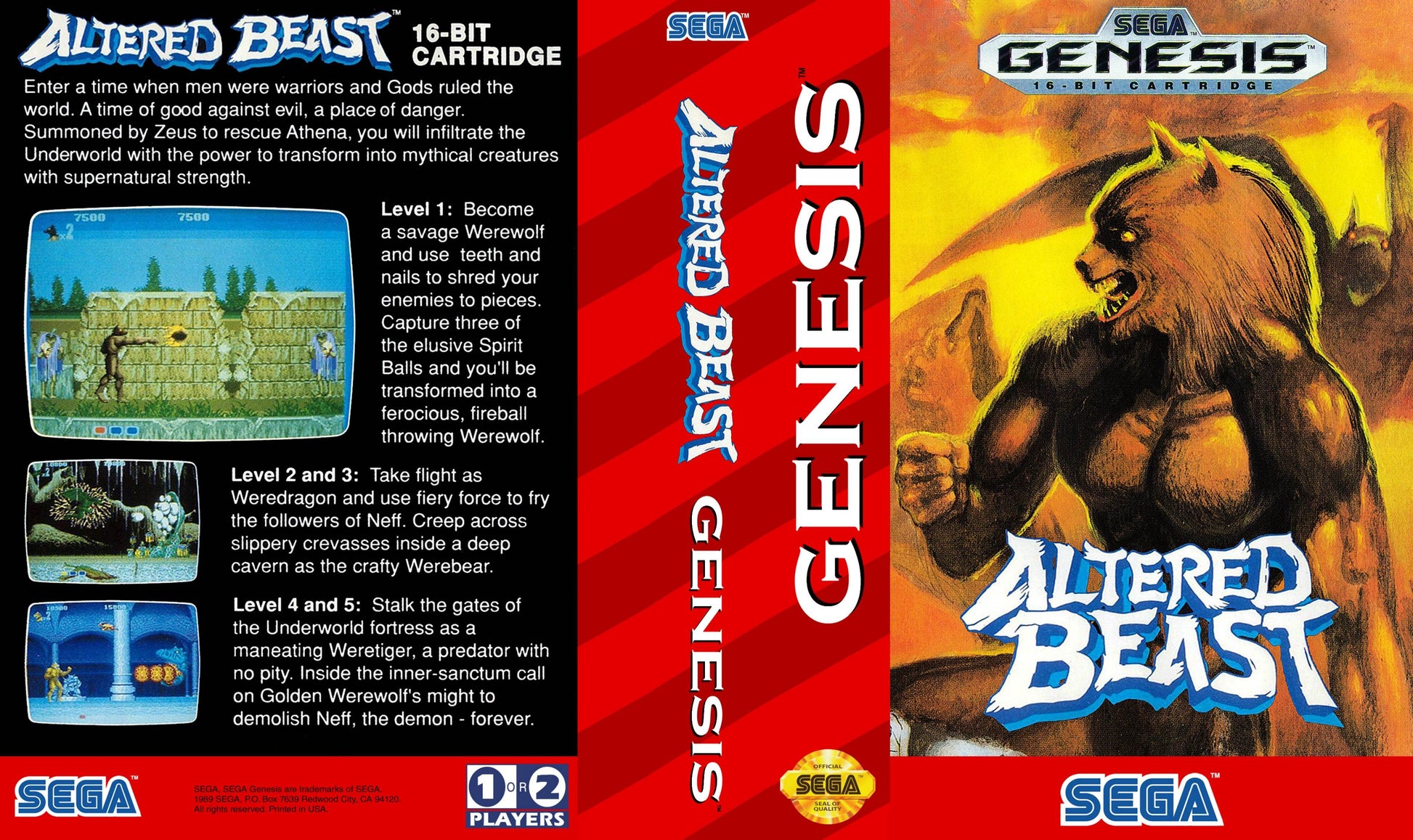 Altered Beast Cover Art - WOI Solutions