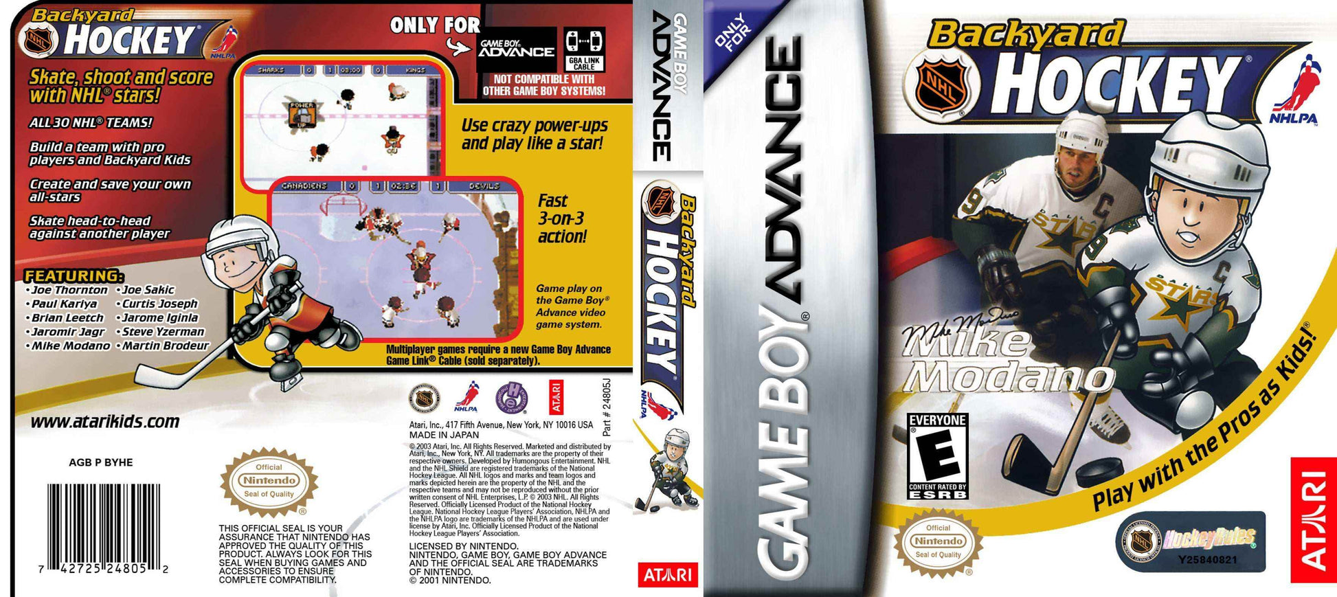 Backyard Hockey Cover Art - WOI Solutions