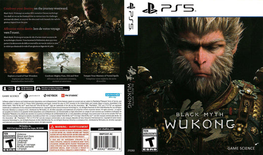 Black Myth Wukong Cover Art - WOI Solutions