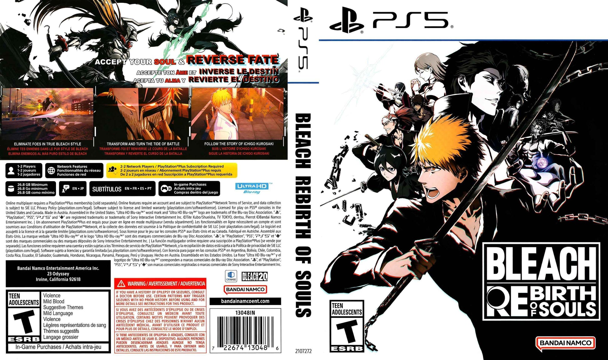 Bleach Rebirth of Souls Cover Art - WOI Solutions