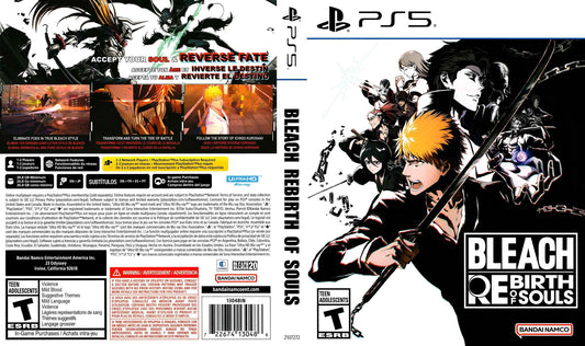 Bleach Rebirth of Souls Cover Art - WOI Solutions