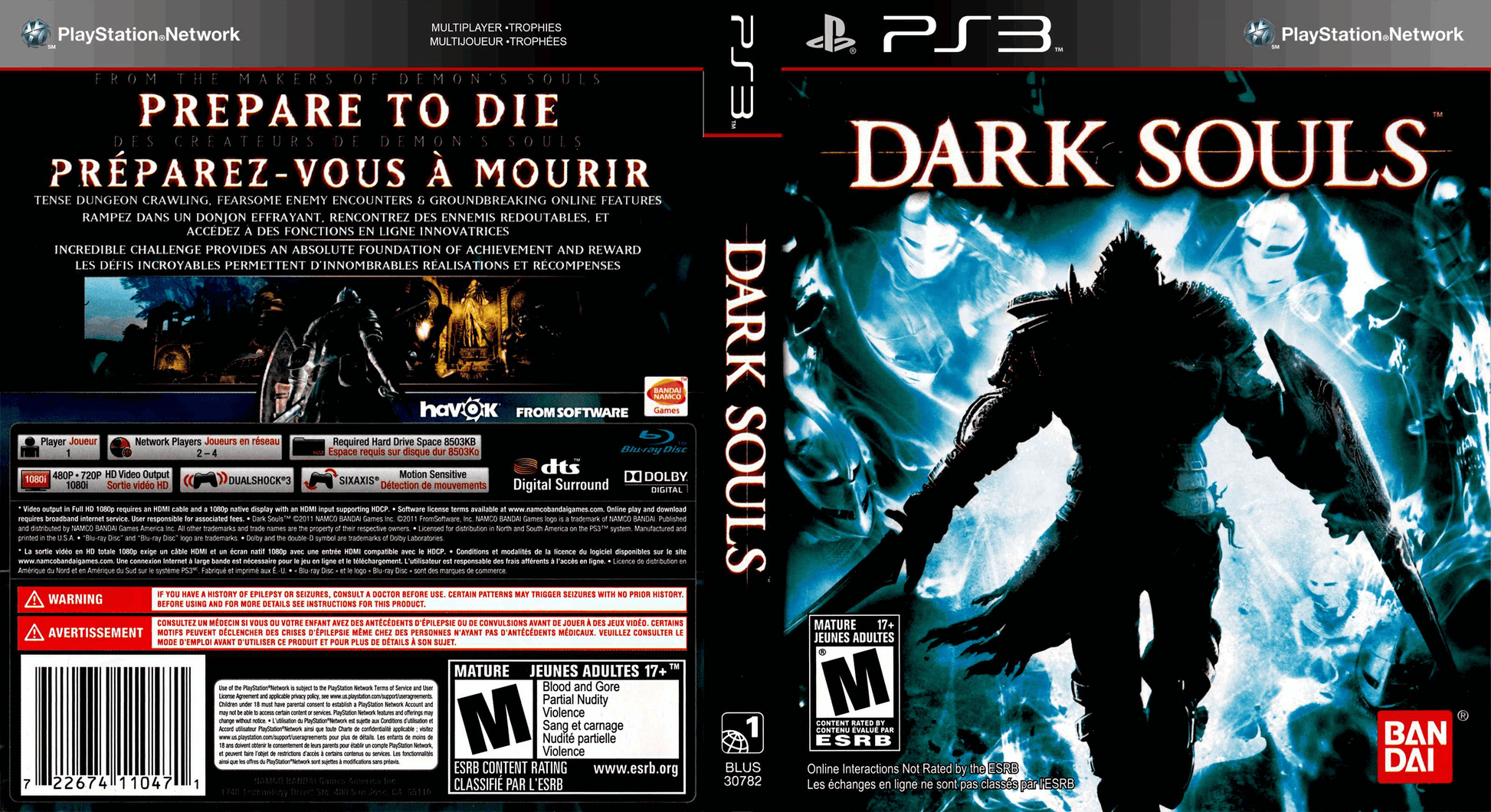 Dark Souls Cover Art - WOI Solutions