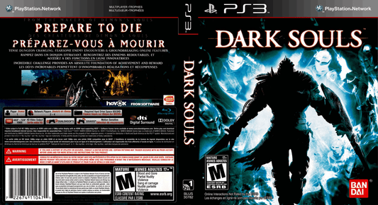 Dark Souls Cover Art - WOI Solutions