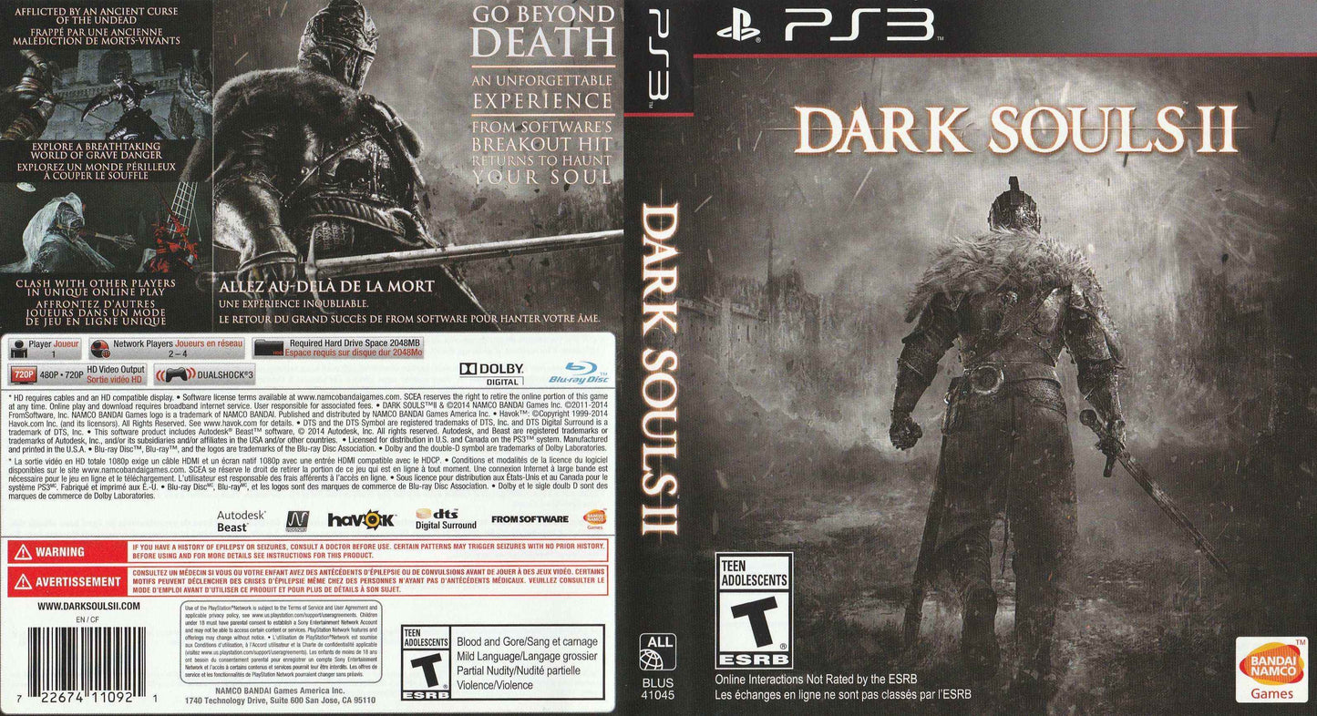 Dark Souls II Cover Art - WOI Solutions
