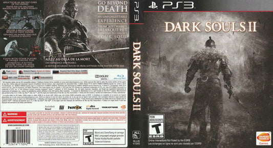 Dark Souls II Cover Art - WOI Solutions