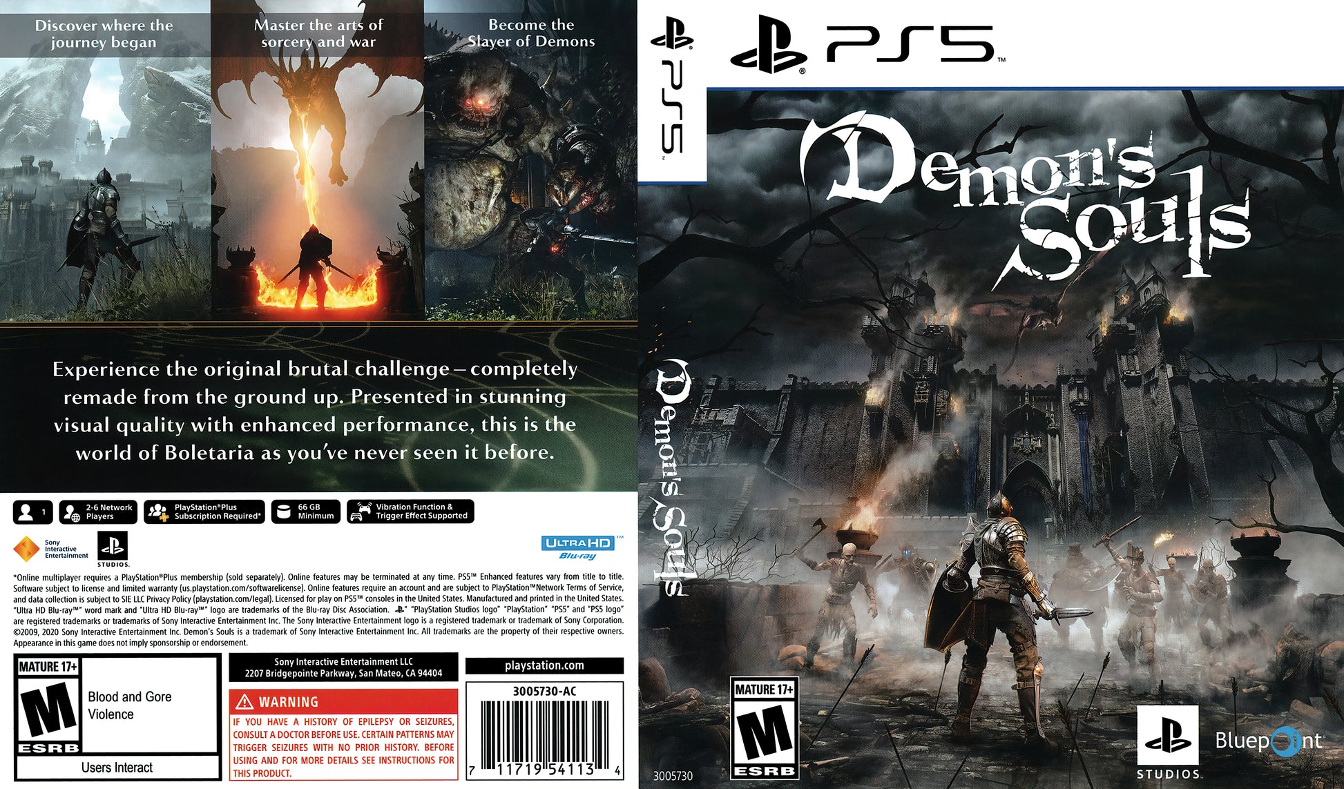 Demons Souls