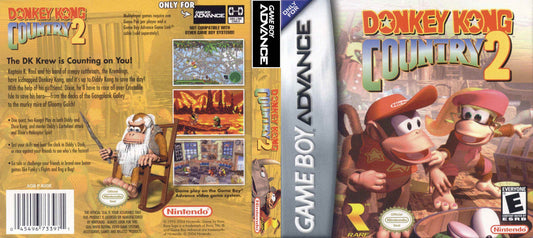 Donkey Kong Country 2 Cover Art - WOI Solutions