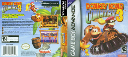 Donkey Kong Country 3 Cover Art - WOI Solutions